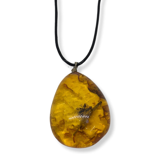 Büyük Sıkma Kehribar Kadın Kolye