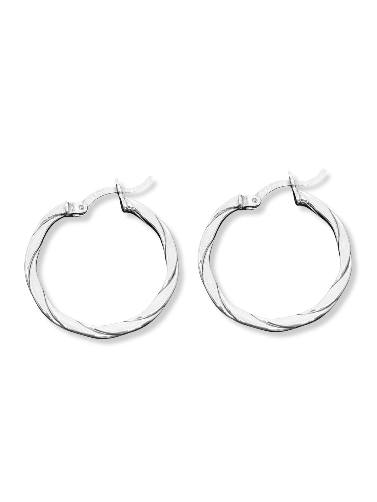 Hoop Earrings