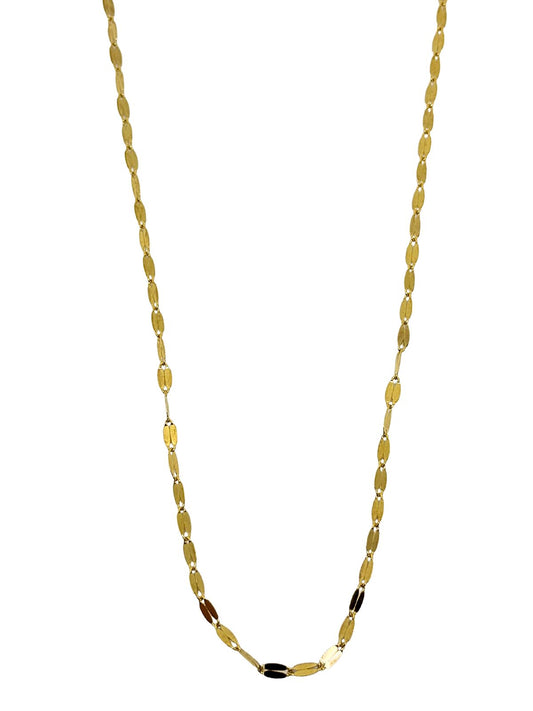 Gümüş Pul Zincir Kolye