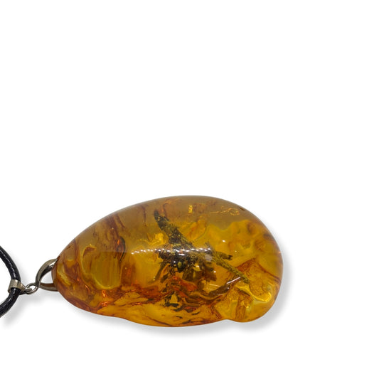 Large Squeeze Amber Women's Necklace